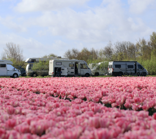 Camping Julianadorp aan Zee