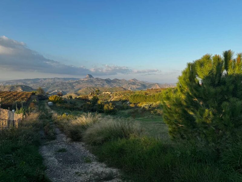 Tenuta Falletta