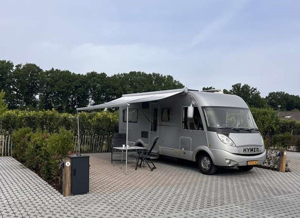 Plek op camperplaats-groene papegaai