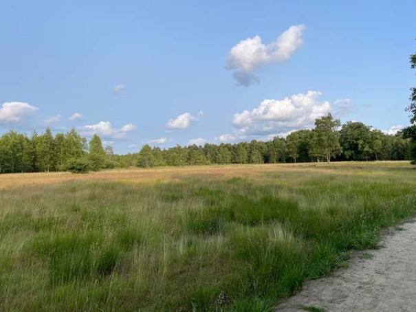 camperplaats-groene-papegaai- uitzicht