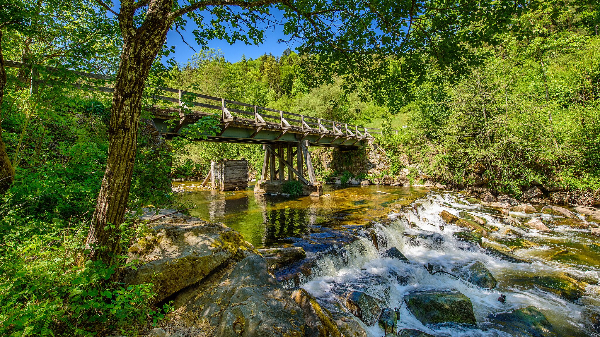 Wutachschlucht Zwarte Woud Zuid-Duitsland Astrid Ziemer (cc by-sa 4.0) wikimedia commons