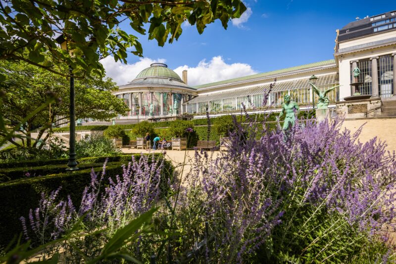 De Kruidtuin in Brussel met op de achtergrond de Botanique