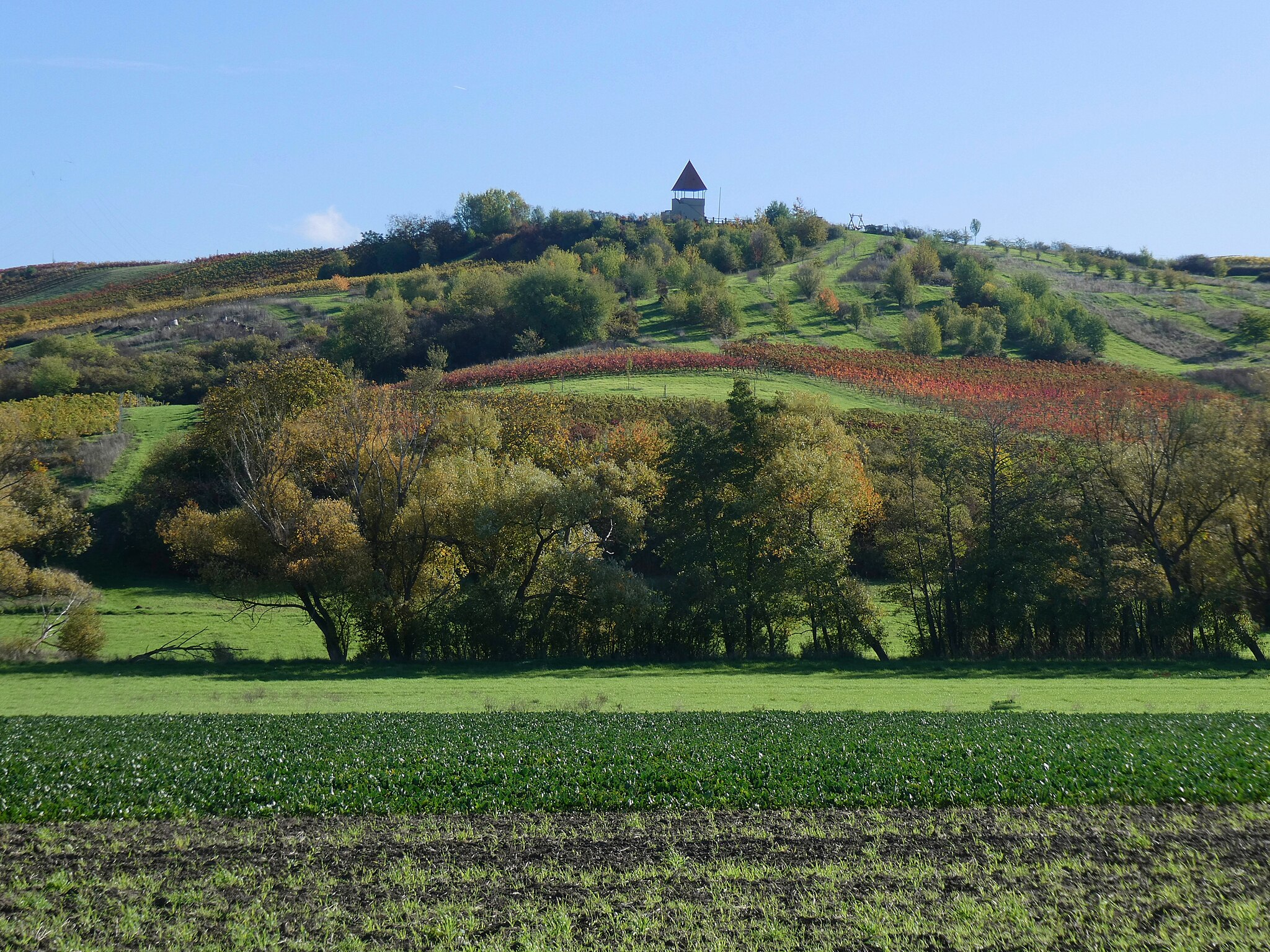 Duitsland Rheinhessen Schildberg - Steffen 962 (CC BY-SA 4.0) via Wikimedia Commons