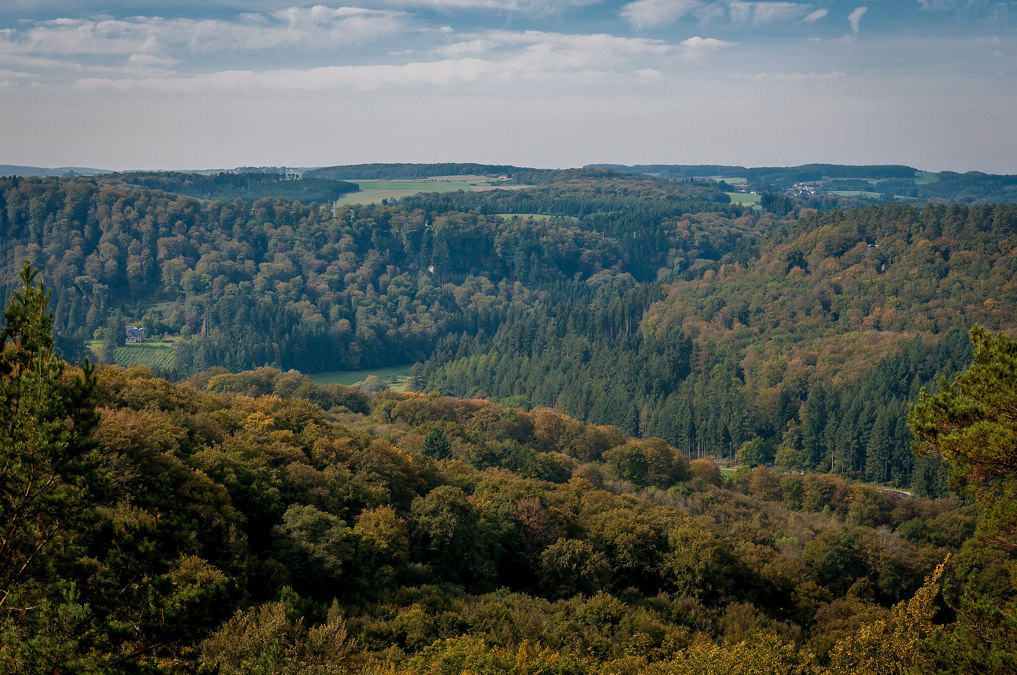 Luxemburg Mullerthal - larsjuh (CC BY 2.0) via Wikimedia Commons